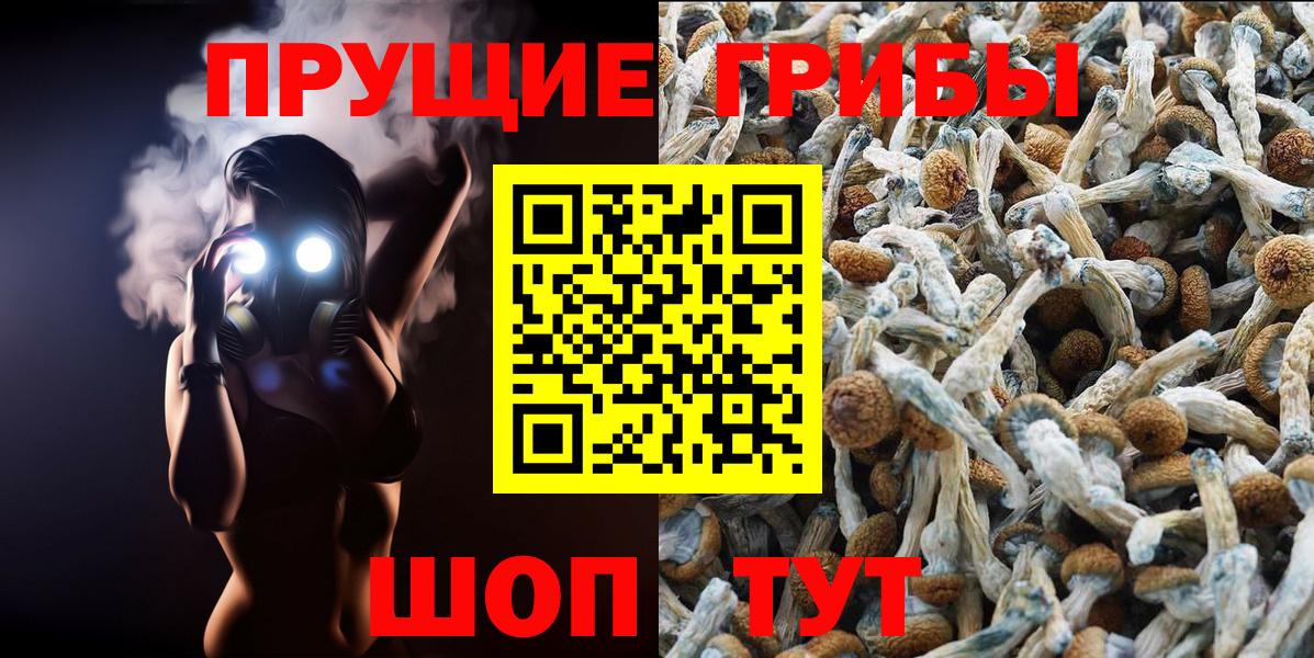 Галлюциногенные грибы Cubensis Заинск