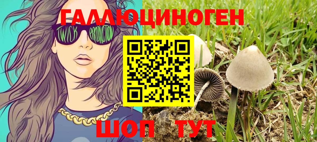 Заинск  Псилоцибиновые грибы Psilocybine cubensis  Галлюциногенные грибы прущие грибы  Вход с VPN 